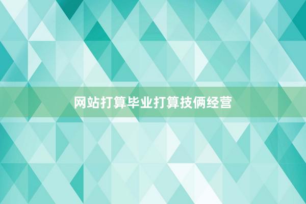 网站打算毕业打算技俩经营