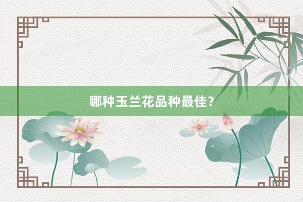 哪种玉兰花品种最佳？