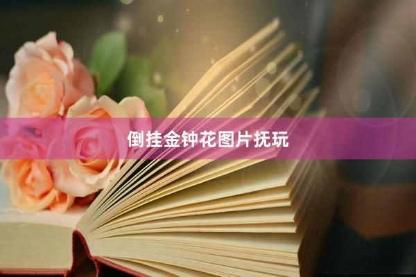 倒挂金钟花图片抚玩
